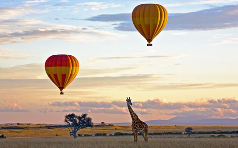Masai Mara Honeymoon Packages